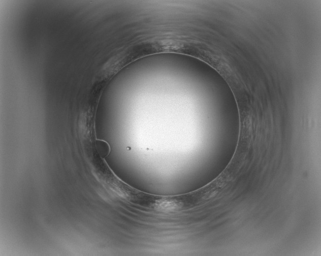 X0000073420218200608111359