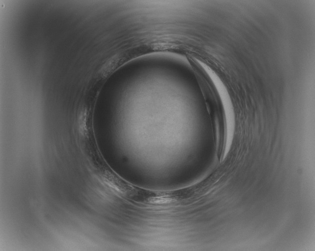 X0000073420219200608111359