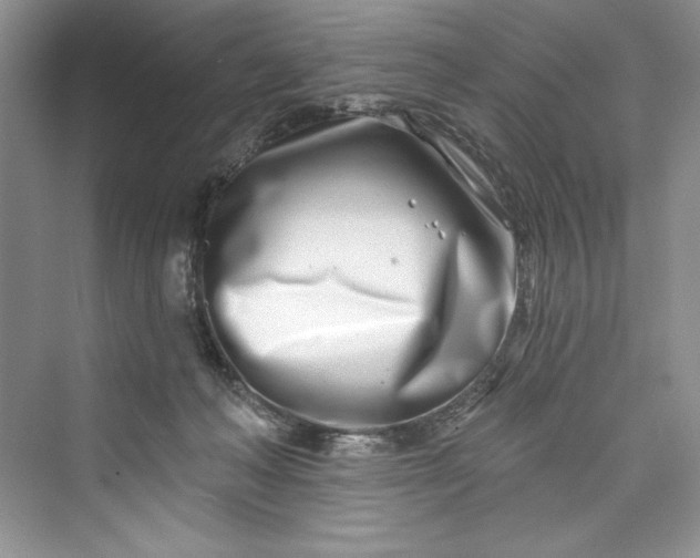 X0000073420222200608111359