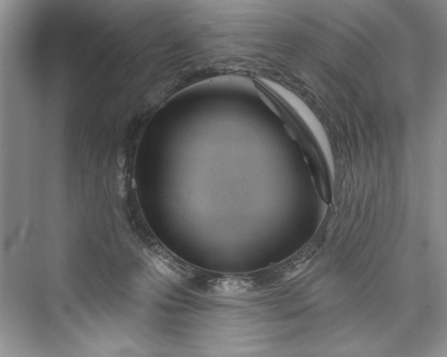 X0000073420223200608111359