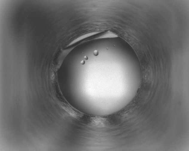 X0000073420226200608111359