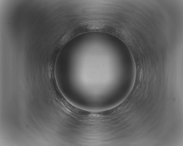 X0000073420227200608111359