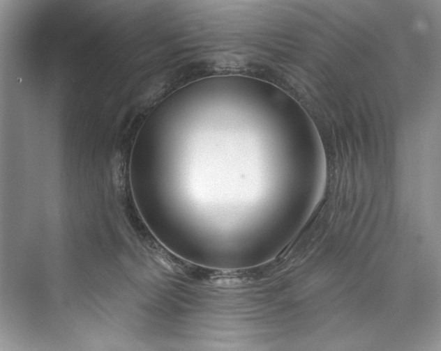 X0000073420228200608111359