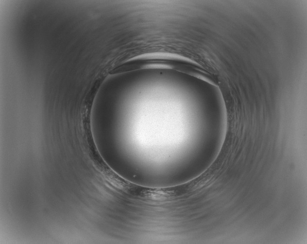 X0000073420229200608111359