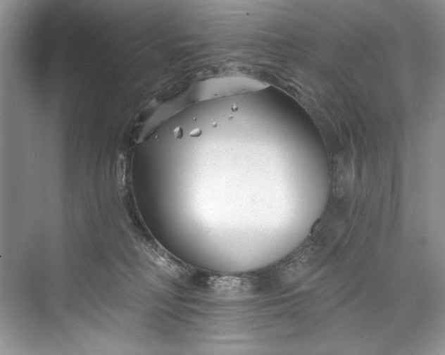 X0000073420230200608111359