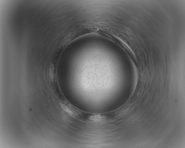 X0000073420231200608111359