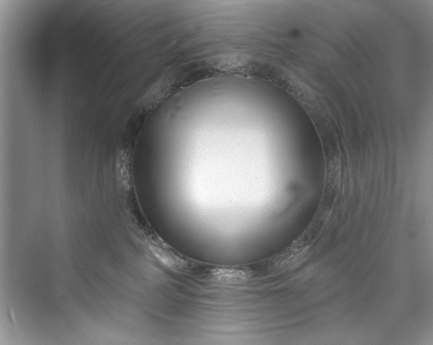 X0000073420234200608111359