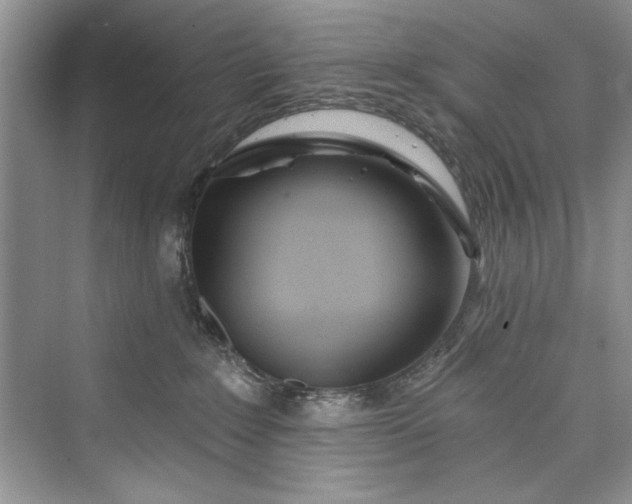 X0000073420235200608111359