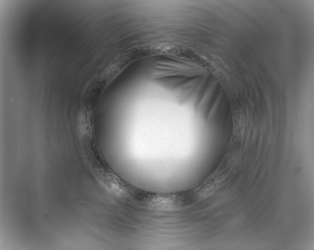 X0000073420236200608111359