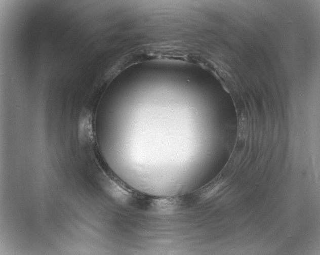 X0000073420238200608111359