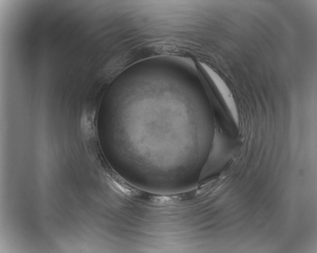 X0000073420239200608111359