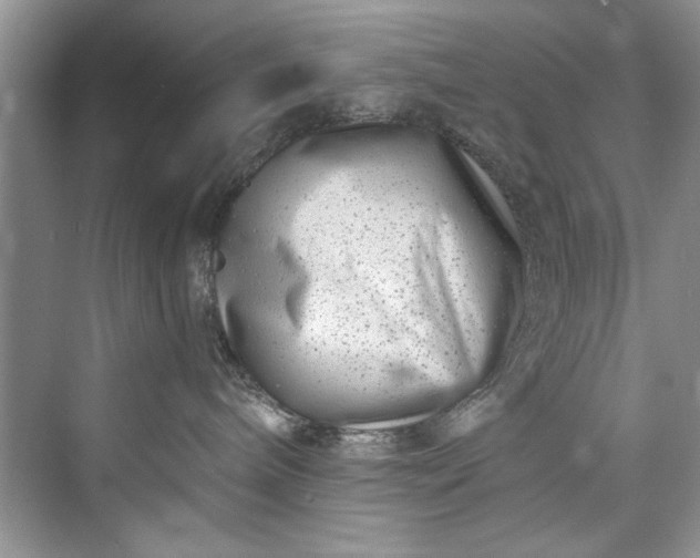 X0000073420240200608111359