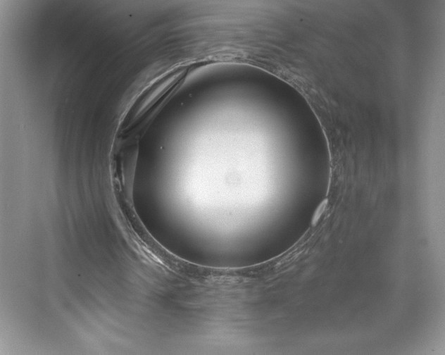 X0000073420242200608111358