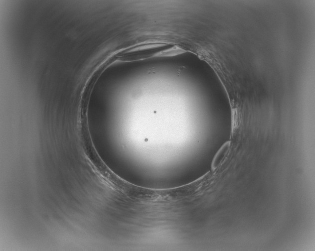 X0000073420243200608111358