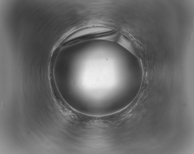 X0000073420244200608111358