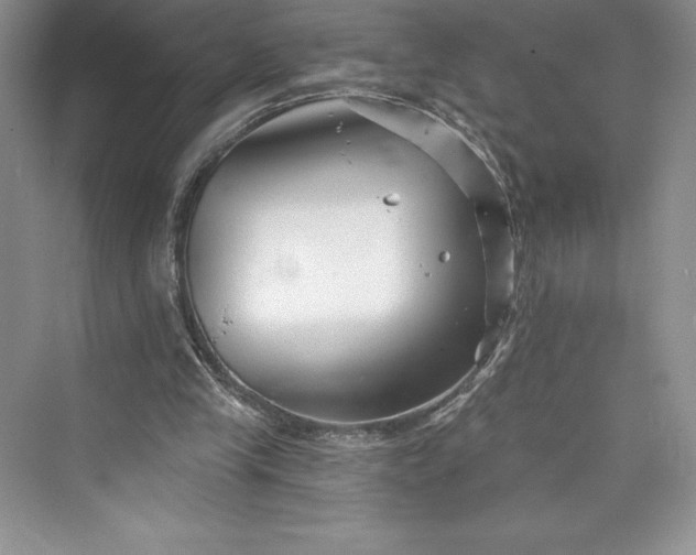 X0000073420245200608111358