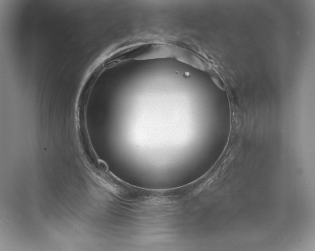 X0000073420246200608111358