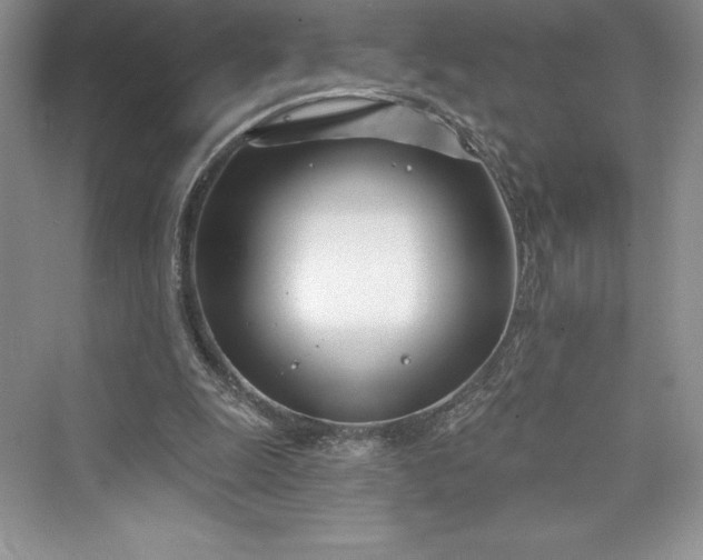 X0000073420247200608111358