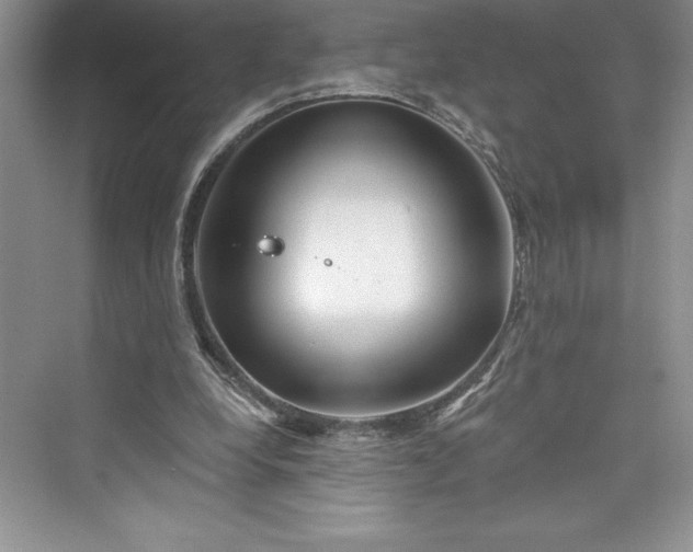 X0000073420248200608111358