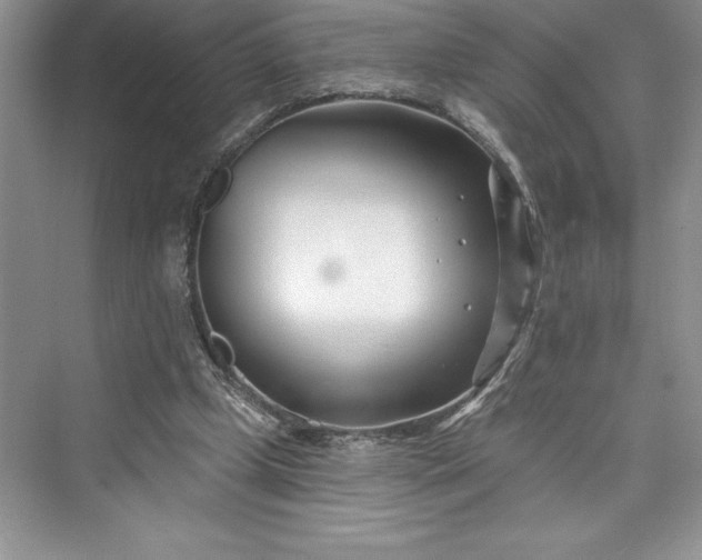 X0000073420249200608111358