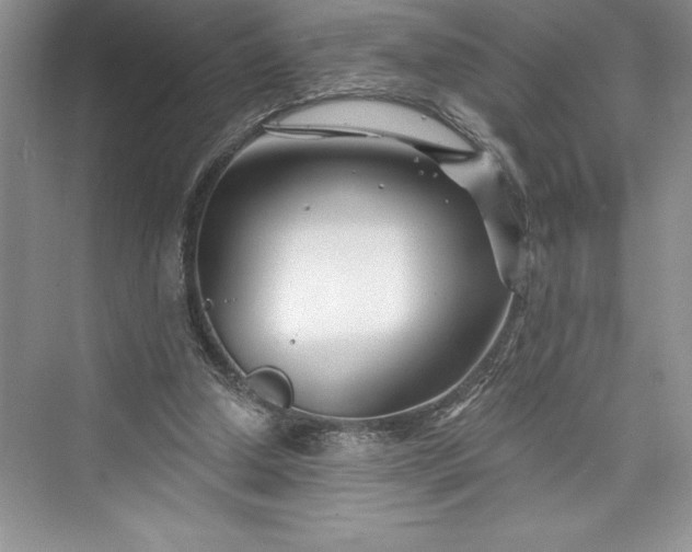 X0000073420250200608111358