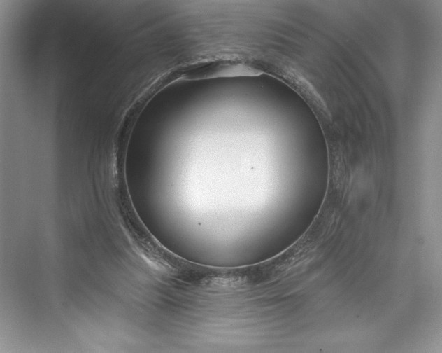 X0000073420251200608111358