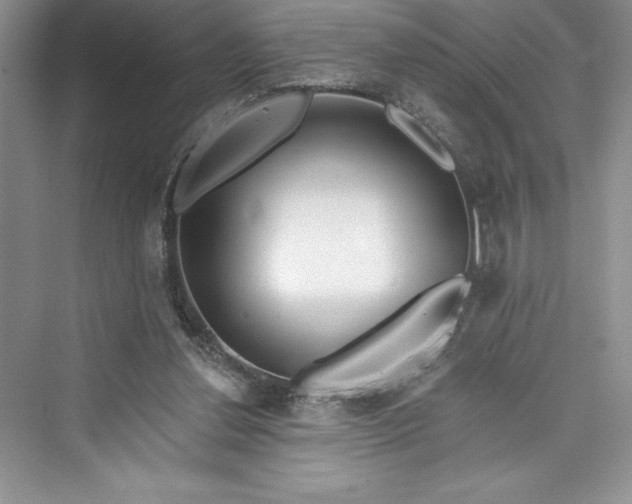 X0000073420252200608111358