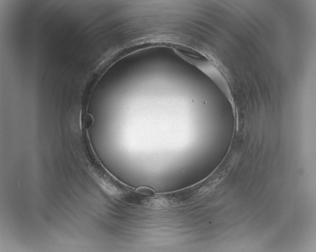 X0000073420253200608111358