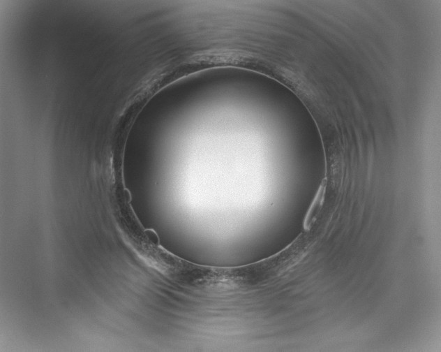 X0000073420254200608111358