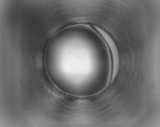 X0000073420255200608111358