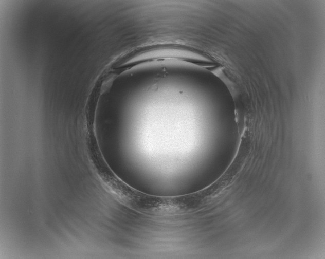 X0000073420256200608111358