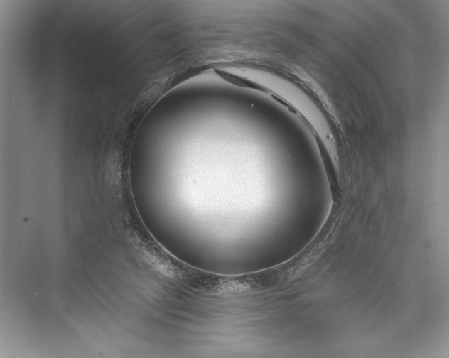 X0000073420257200608111358