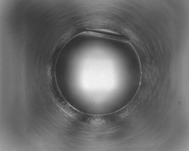 X0000073420258200608111358