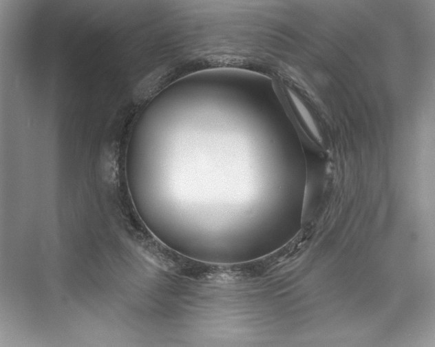 X0000073420259200608111358