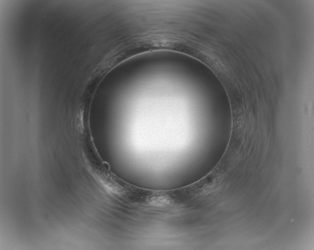 X0000073420262200608111358