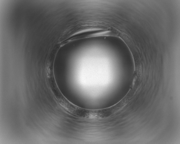 X0000073420264200608111358