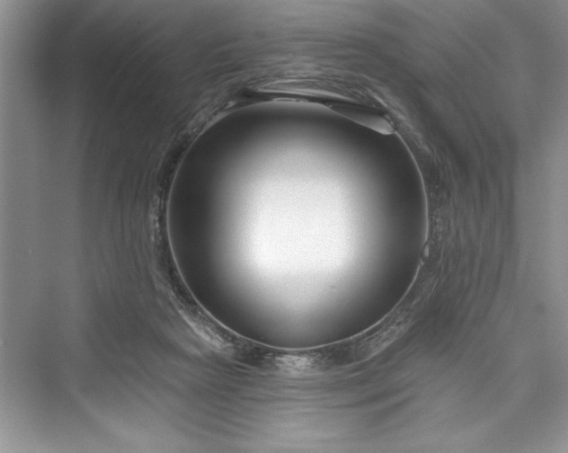 X0000073420265200608111358