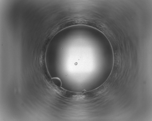 X0000073420266200608111358