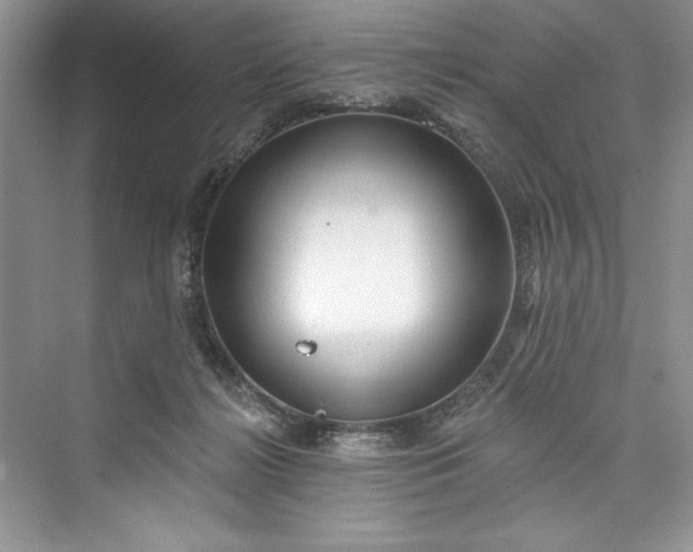 X0000073420268200608111359