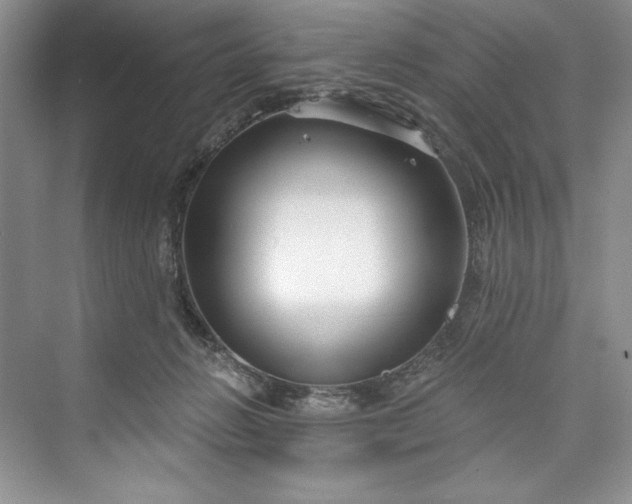 X0000073420270200608111359