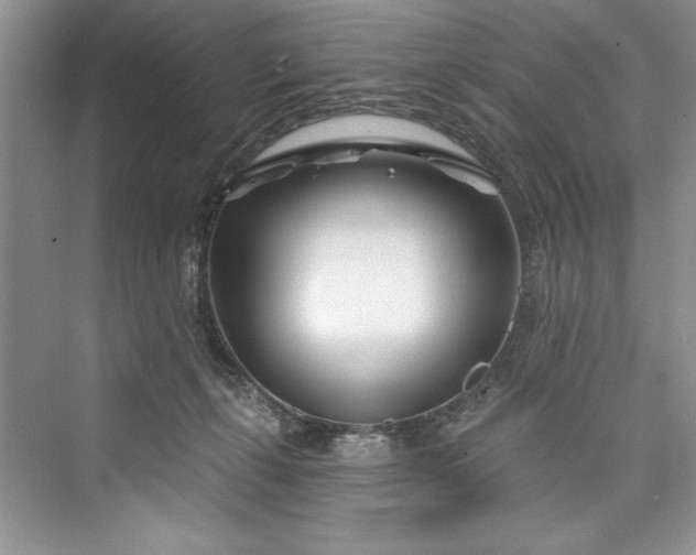 X0000073420271200608111359