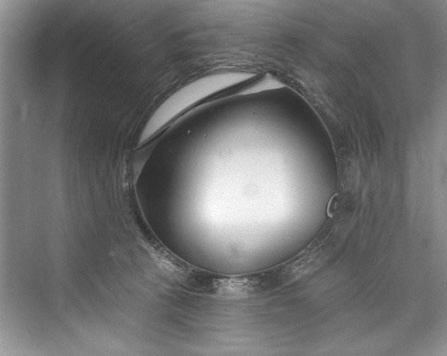 X0000073420273200608111359