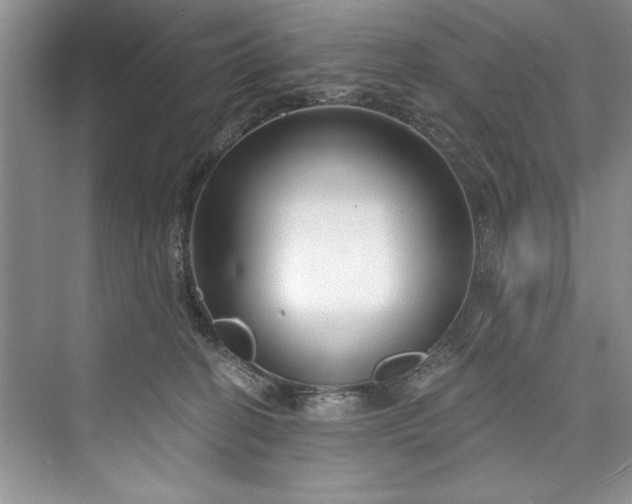 X0000073420274200608111359