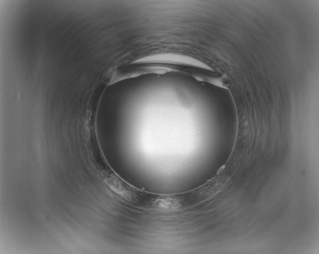 X0000073420275200608111359