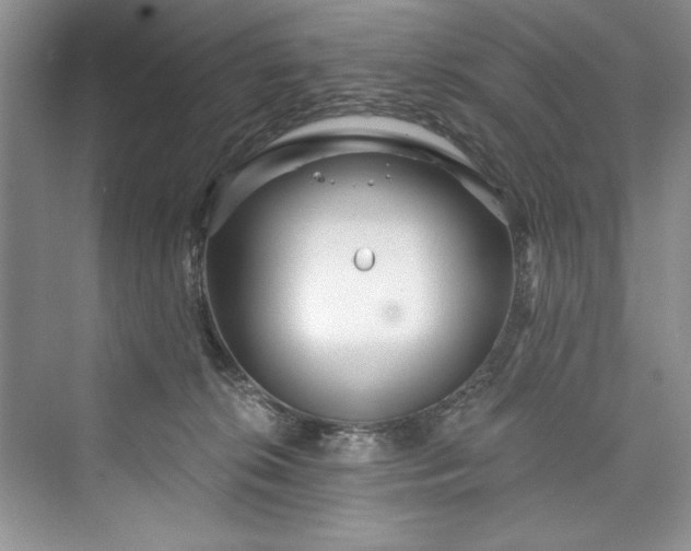 X0000073420276200608111359