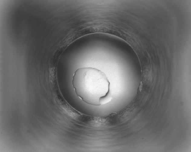 X0000073420278200608111359