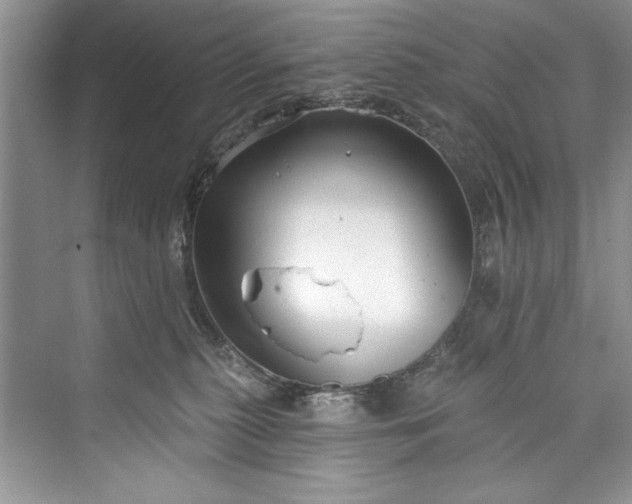 X0000073420279200608111359