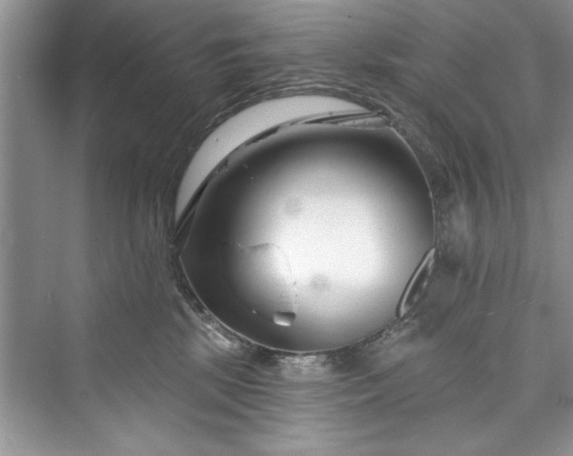 X0000073420281200608111359