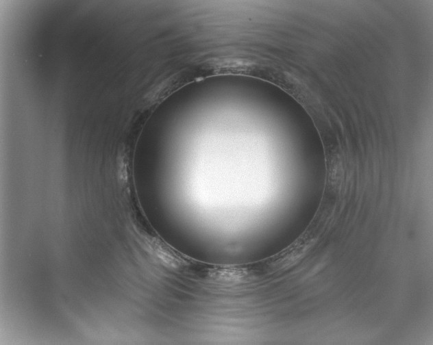 X0000073420282200608111359