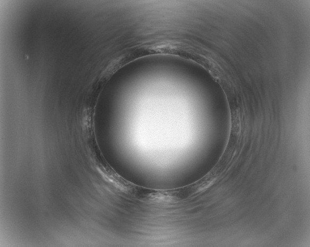 X0000073420284200608111359